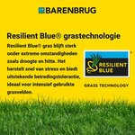 Barenbrug Resilient Blue Lawn -Klimaatresistent