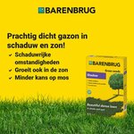 Barenbrug Shadow 