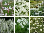 Borderpakket "Bright and White" voor 3m&sup2; - P9 (9x9cm)