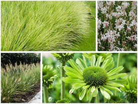 Borderpakket "Green Green Grass" voor 3m&sup2; - P9 (9x9cm)