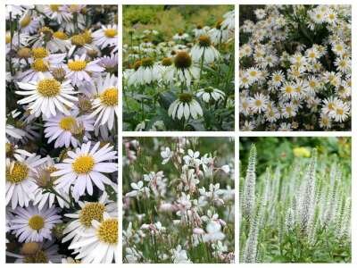 Borderpakket "Bright and White" voor 3m&sup2; - P9 (9x9cm)