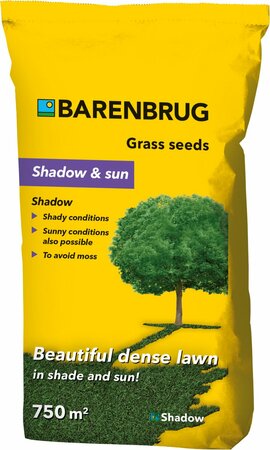 Barenbrug Shadow 