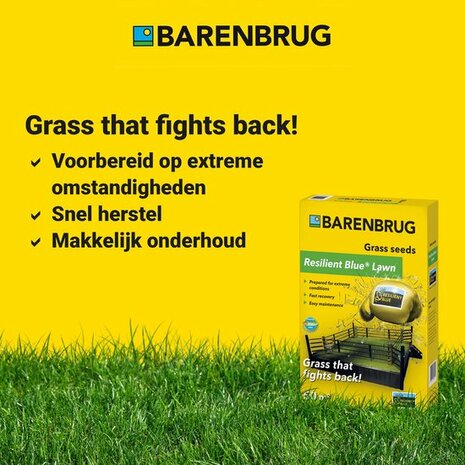 Barenbrug Resilient Blue Lawn -Klimaatresistent