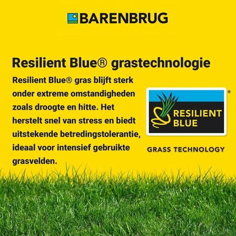 Barenbrug Resilient Blue Lawn -Klimaatresistent