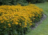 Borderpakket "Rainbow Garden" voor 3m2 - P9 Pot (9x9cm)_
