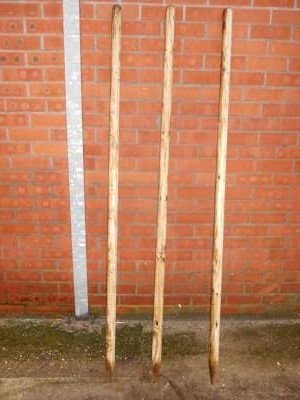 Boompaal 450 cm