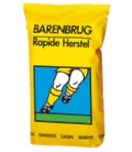 Barenbrug Rapide herstel