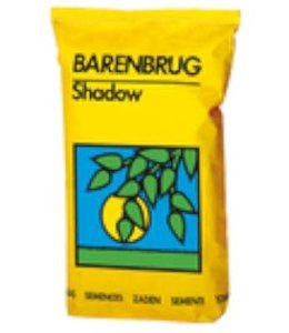 Barenbrug Shaduw