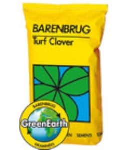 Barenbrug Turf Clover