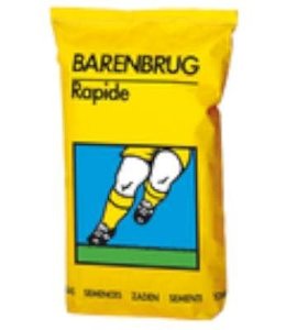 Barenbrug rapide SV7