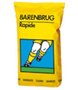 Barenbrug Rapide SV7